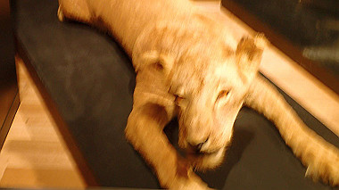 p4301035_thumb.jpg