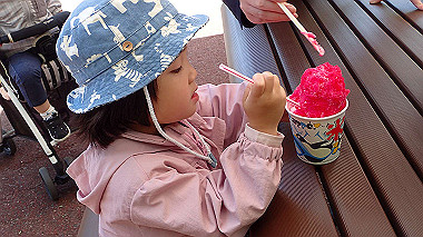 p4301042_thumb.jpg