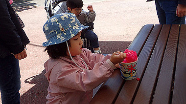 p4301043_thumb.jpg