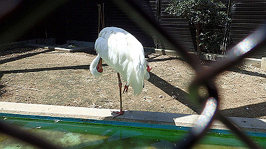 p4301045_thumb.jpg