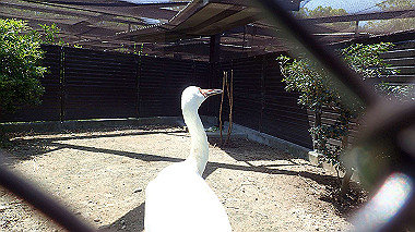 p4301046_thumb.jpg