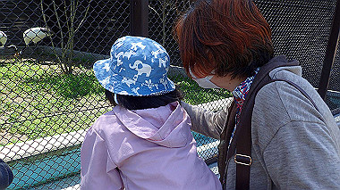 p4301047_thumb.jpg