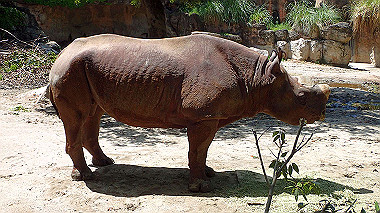 p4301056_thumb.jpg