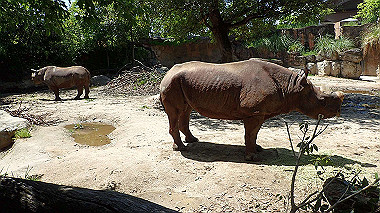 p4301057_thumb.jpg