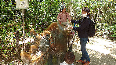 p4301058_thumb.jpg