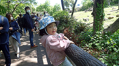 p4301061_thumb.jpg