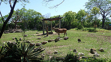 p4301062_thumb.jpg