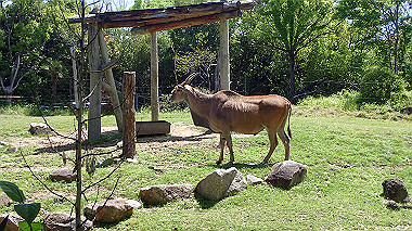 p4301063_thumb.jpg