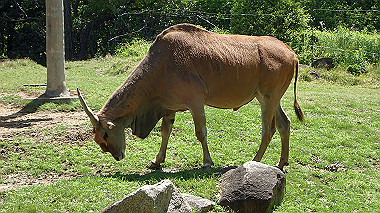 p4301064_thumb.jpg