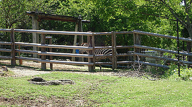 p4301065_thumb.jpg