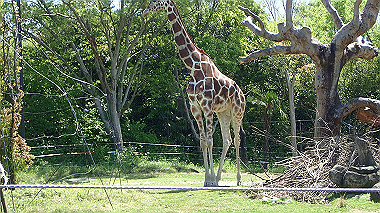 p4301070_thumb.jpg
