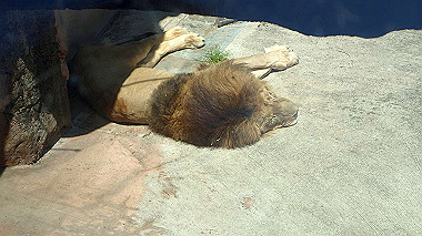 p4301076_thumb.jpg