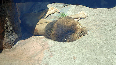 p4301077_thumb.jpg