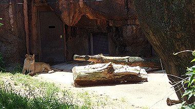 p4301078_thumb.jpg
