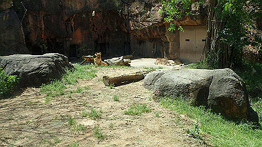 p4301081_thumb.jpg