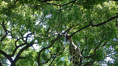 p4301090_thumb.jpg