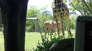 p4301096_thumb.jpg