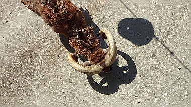 p4301102_thumb.jpg