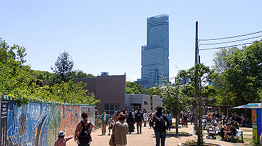 p4301105_thumb.jpg