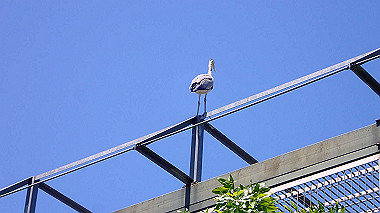 p4301135_thumb.jpg