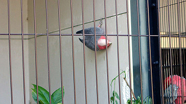 p4301140_thumb.jpg
