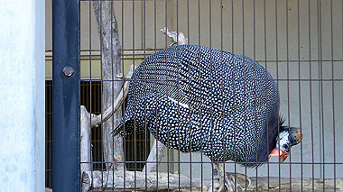 p4301142_thumb.jpg