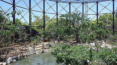 p4301155_thumb.jpg