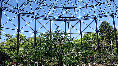 p4301157_thumb.jpg