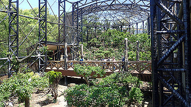 p4301164_thumb.jpg