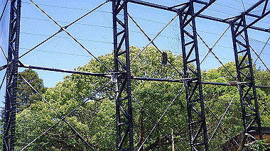 p4301166_thumb.jpg