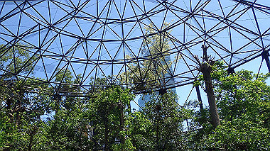 p4301171_thumb.jpg
