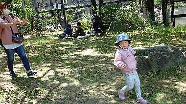p4301173_thumb.jpg