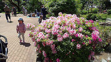 p4301175_thumb.jpg