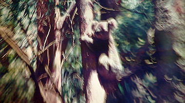 p4301177_thumb.jpg