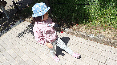 p4301186_thumb.jpg