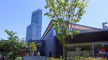p4301191_thumb.jpg