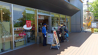 p4301193_thumb.jpg