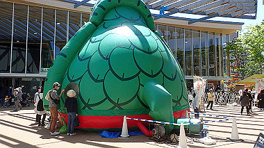 p4301199_thumb.jpg