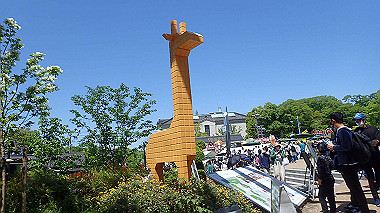 p4301204_thumb.jpg