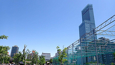 p4301205_thumb.jpg