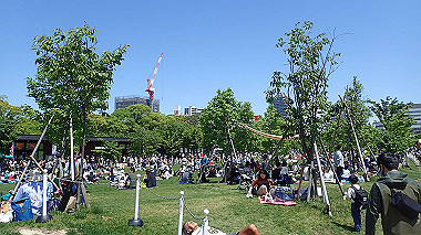 p4301207_thumb.jpg