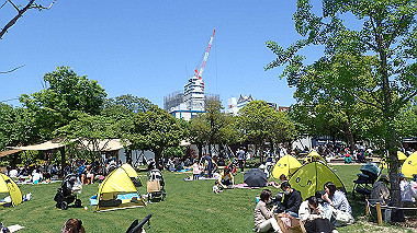 p4301208_thumb.jpg