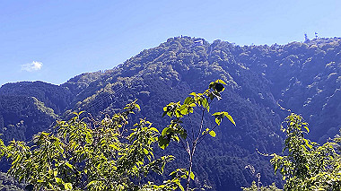 2022-05-07_15-10-23_403_thumb.jpg