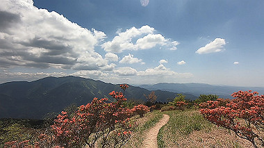 gx016427.mp4_snapshot_00.38_thumb.jpg