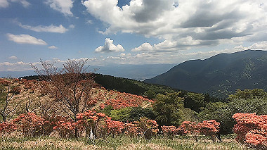 gx016427.mp4_snapshot_02.06_thumb.jpg
