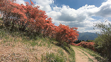 gx016427.mp4_snapshot_04.00_thumb.jpg