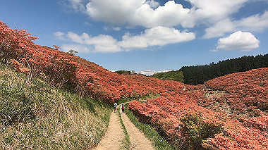 gx016427.mp4_snapshot_06.36_thumb.jpg