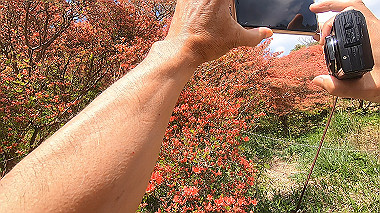 gx016427.mp4_snapshot_10.35_thumb.jpg