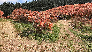 gx016427.mp4_snapshot_11.40_thumb.jpg