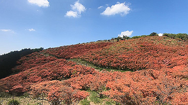 gx016427.mp4_snapshot_12.33_thumb.jpg